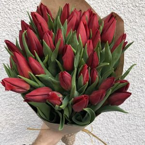35 червоних тюльпанів у Бердянську фото