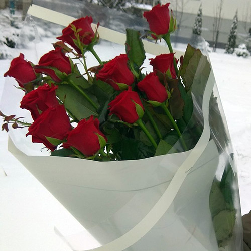розы зимой фото