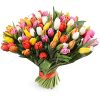 букет 99 разноцветных тюльпанов (красный, розовый, жёлтый, белый)