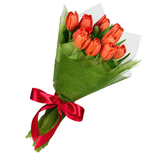 Фото товара 11 красных тюльпанов