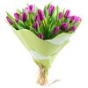 25 пурпурных тюльпанов фото