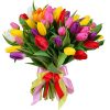 35 тюльпанов микс (красный, жёлтый, розовый, фиолетовый) фото