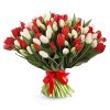 75 красно-белых тюльпанов (в ленте) фото