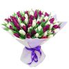 75 пурпурно-белых тюльпанов фото