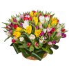75 тюльпанов микс (все цвета) в корзине фото