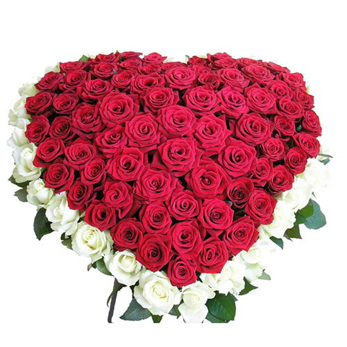 Фото товара 101 роза сердцем - белая, красная