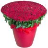 Фото товара 301 красная роза в большом вазоне