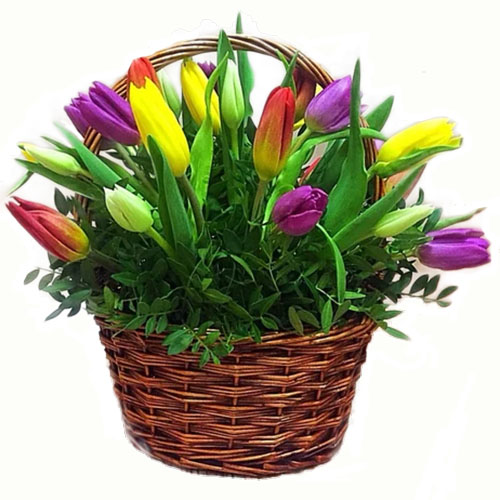 Фото товара 15 тюльпанов в корзине