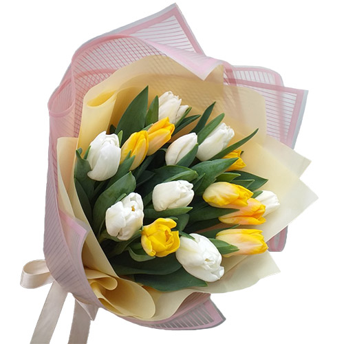 Фото товара 15 біло-жовтих тюльпанів