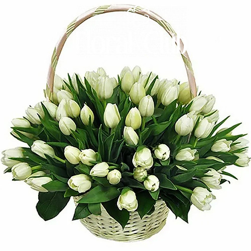 Фото товара "Цукрова вата" 51 білий тюльпан у кошику