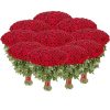 Фото товара Букет 1001 троянда різних сортів