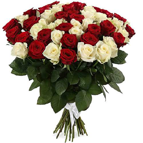 Фото товара 51 червона та біла троянда