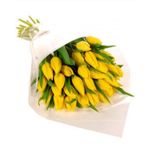 Фото товара 25 жовтих тюльпанів