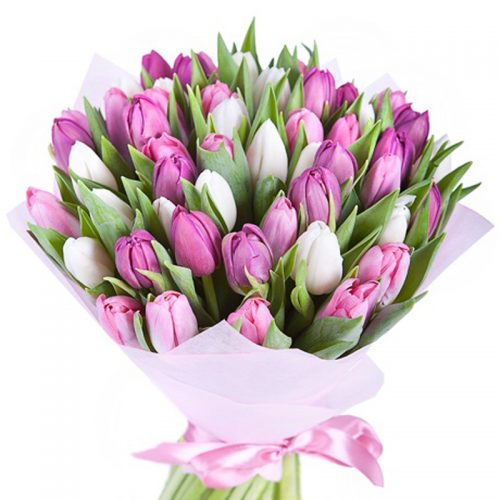 Фото товара 51 біло-рожевий тюльпан
