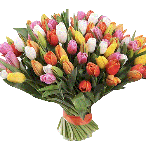 Фото товара 101 різнокольоровий тюльпан